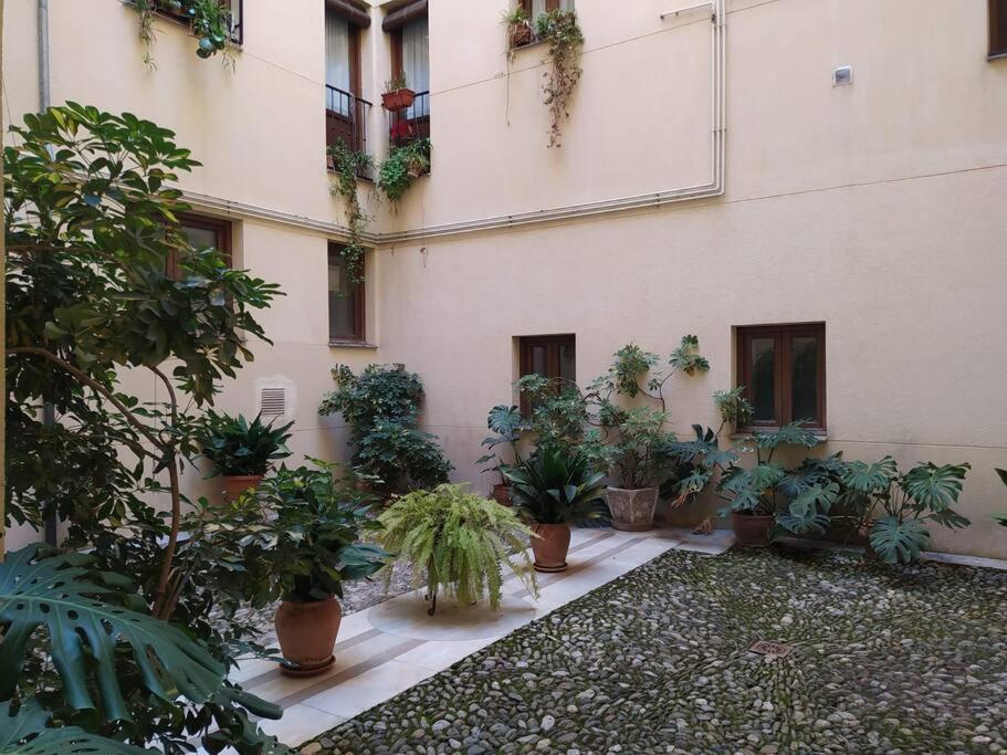 4 Balconies House, Central And Near The Alhambra Granada Bagian luar foto